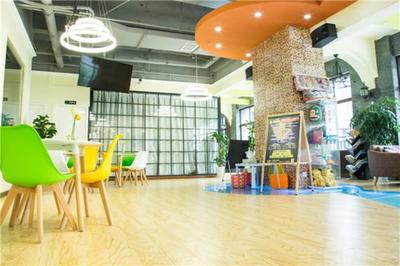 上德大象全國有多少家店？揭秘教育藝術領域的創業藍海與輝煌版圖